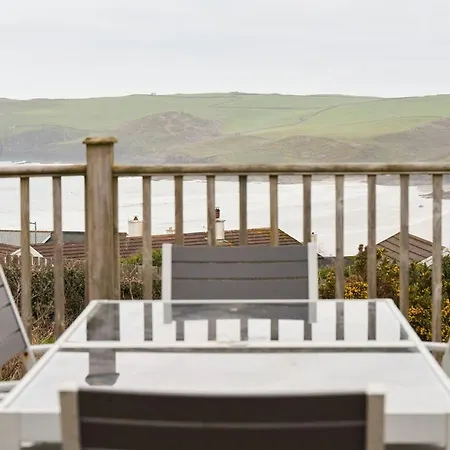 Oystercatcher Polzeath